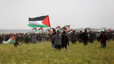 Great March for Palestine with people holding up flags and marching on a field